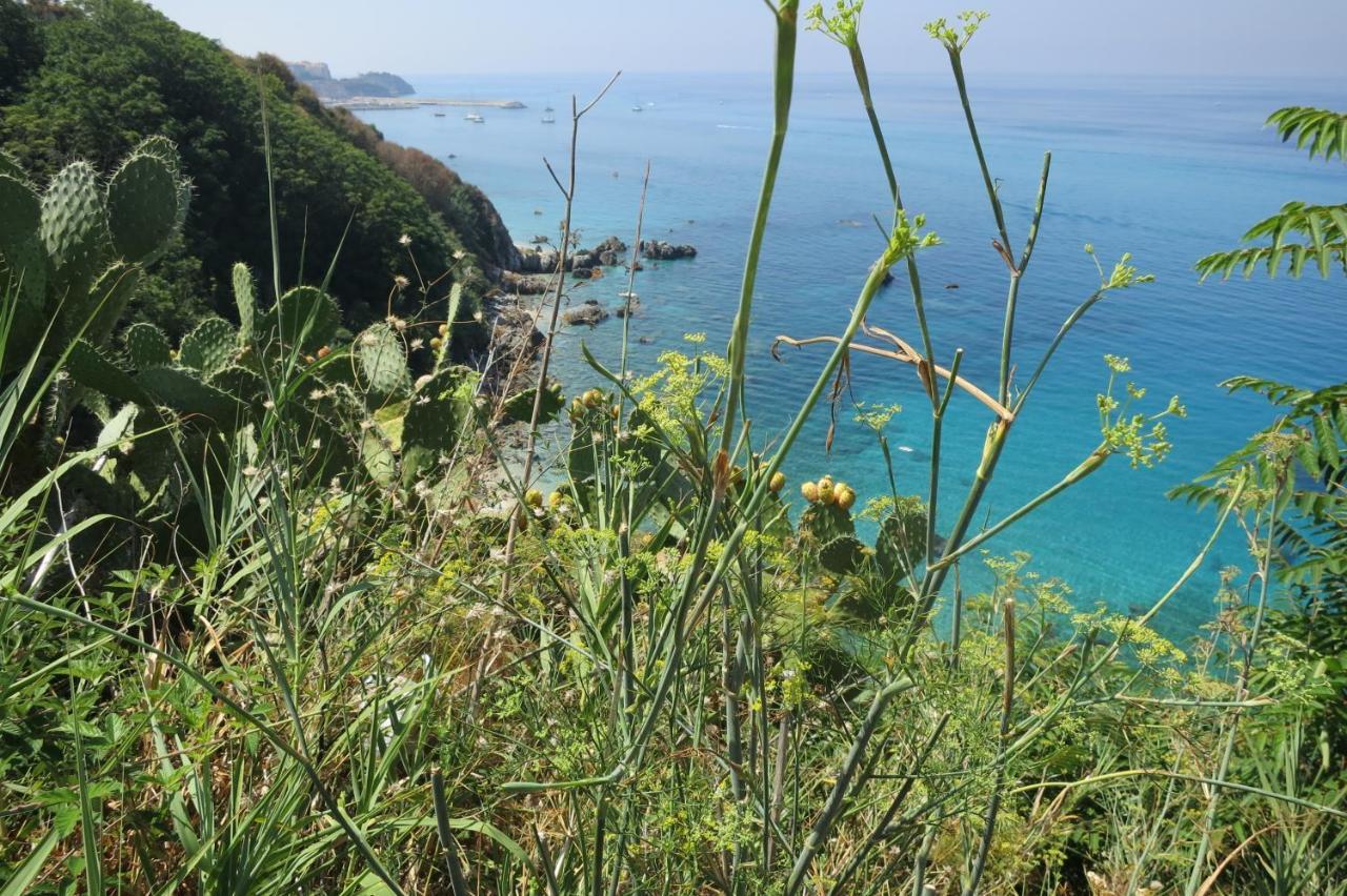 הוילה Il Limoneto, Casa Vacanze Parghelia-Tropea מראה חיצוני תמונה